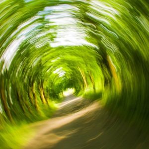 Spinning and blurred tree tunnel