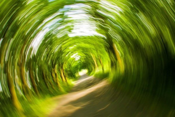Spinning and blurred tree tunnel
